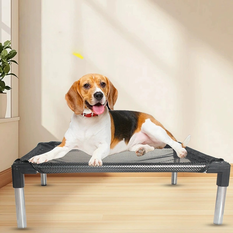 Cooling Elevated Dog Bed - Rai - Bed Outdoor Camping recension och pris