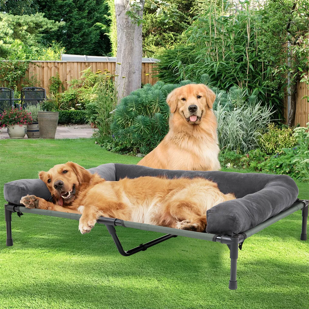 BINGOPAW Elevated Dog Bed Mesh - Outdoor Camping Dog Bed recension och pris